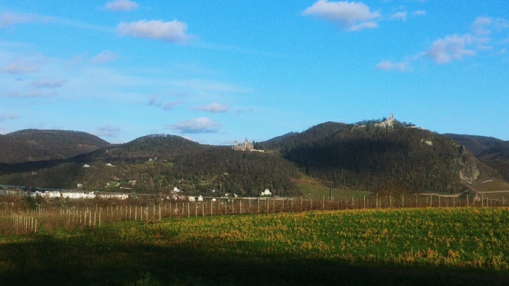 Blick vom Drachenfelser Land auf Mehlem und Siebengebirge